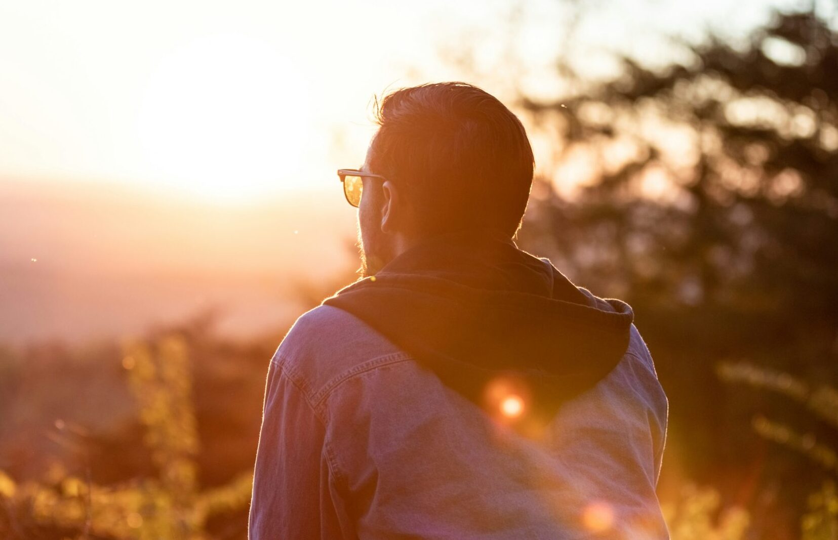 mitchell-hartley-3llQmBfV4gM-unsplash